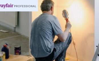 What is Wayfair Professional