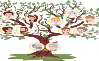 Digital Transformation of Genealogy